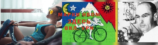 твердый Киренск