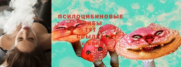 твердый Киренск