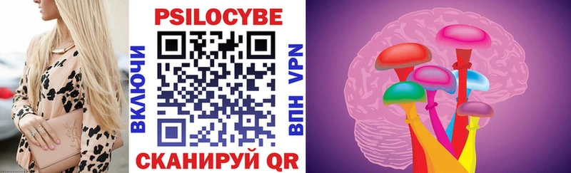 Купить закладки  Казань  Галлюциногенные грибы Psilocybine cubensis 