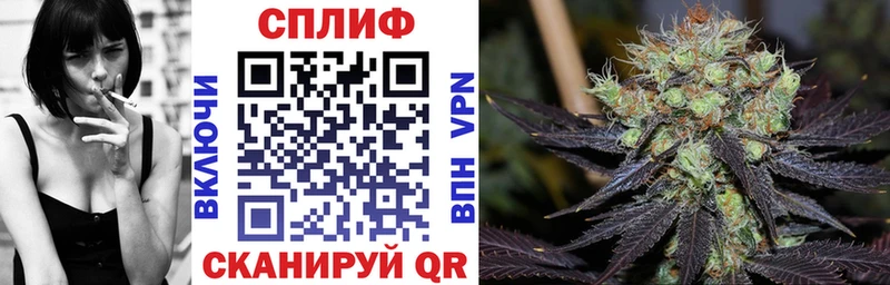 Шишки марихуана сатива  Купить закладки  Казань 